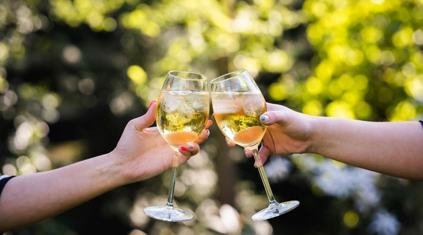 To Ice Or Not To Ice When Should You Put Ice Cubes In Wine? » The Ice